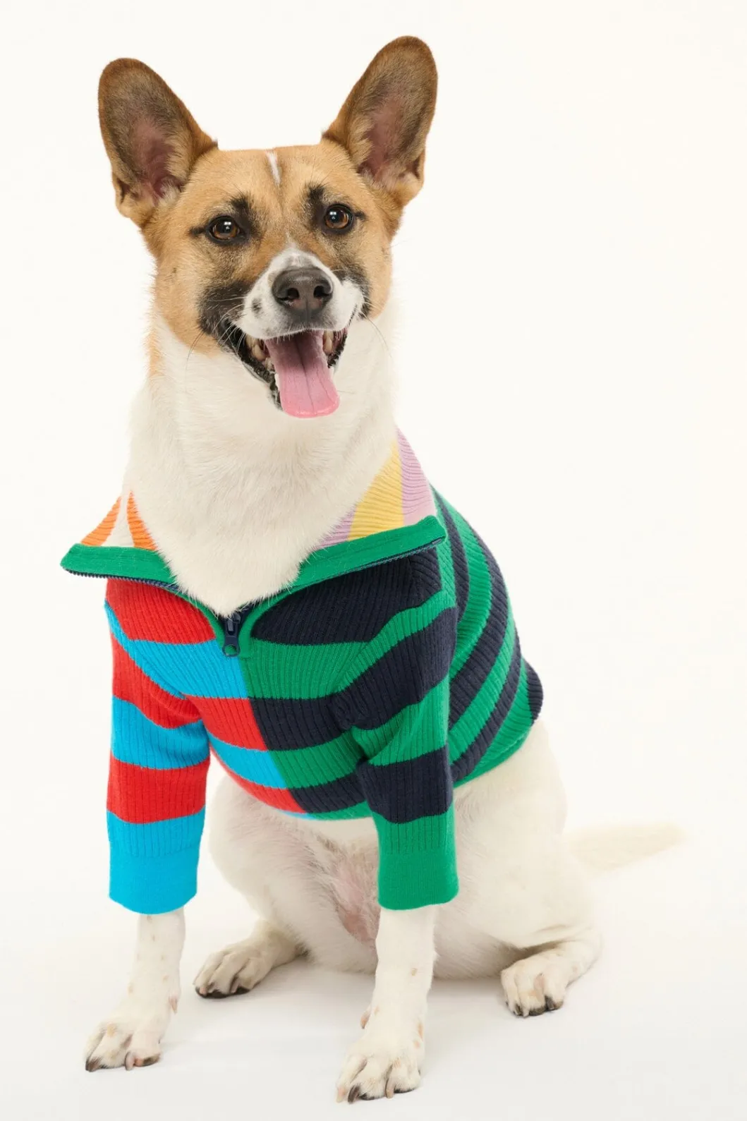 STAUD PET HAMPTON SWEATER | CABANA STRIPE MULTI< Pet Clothing