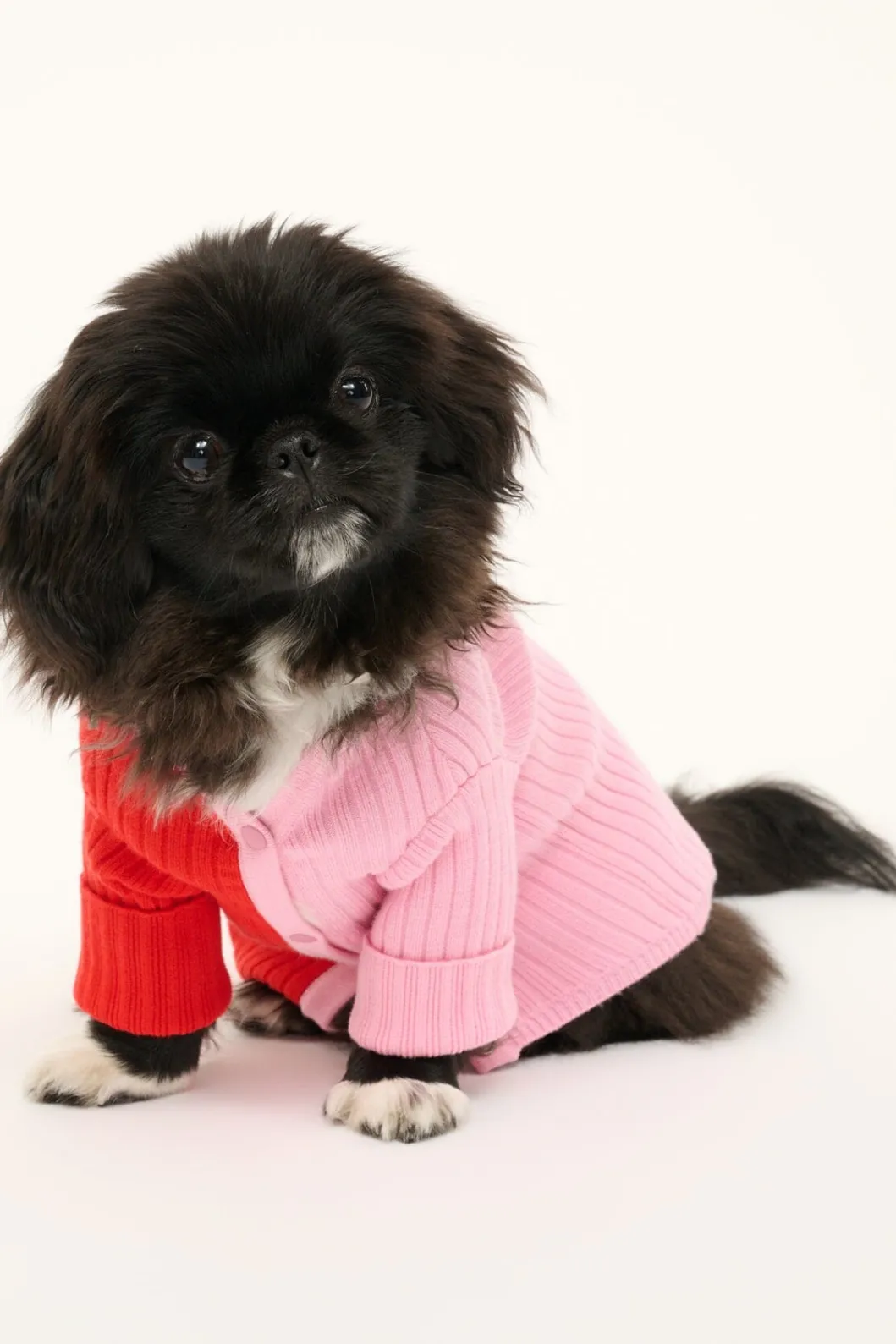 STAUD PET SHOKO SWEATER | POPPY ROSEBUD< Pet Clothing